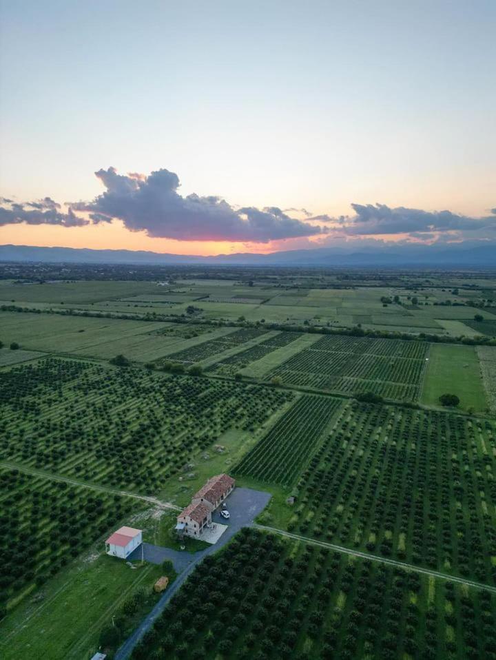 Mestvireni Τελάβι Εξωτερικό φωτογραφία